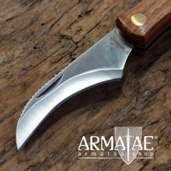 Pilzmesser 83285 mit klappbarer Bürste und 420er-Klinge auf https://armatae.shop