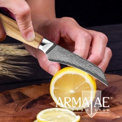 Armatae Cucina Oliva High End Damaststahl Messer auf https://armatae.shop