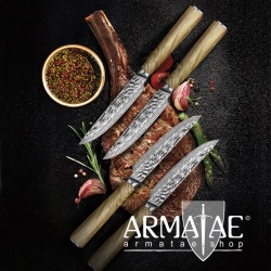 Damast Steakmesser mit Eichenbretter auf https://armatae.shop