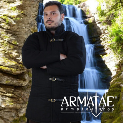 Hochwertiger Gambeson Typ 1 im Set mit langen und kurzen Ärmel auf https://armatae.shop