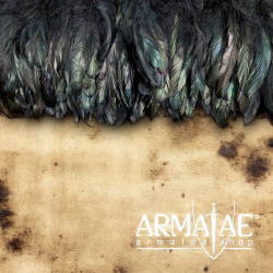 Gockelfedern, verschiedene Varianten Farbe Bronze schwarz gefärbt auf https://armatae.shop