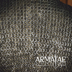 Kettenbeinlinge – 9 mm genietete Flachringe aus Edelstahl auf https://armatae.shop