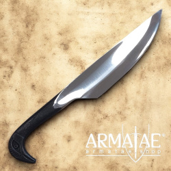 Vogelkopfmesser handgeschmiedet auf https://armatae.shop - Bild 1