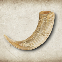 Wikinger Trinkhorn aus Schafshorn – handgefertigter Hornbecher ca. 50 ml - Bild 3