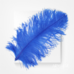 Straußenfeder ausgesuchte Qualität – ca. 40–50 cm, verschiedene Farben - Blau