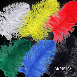 Straußenfeder ausgesuchte Qualität – ca. 40–50 cm, verschiedene Farben