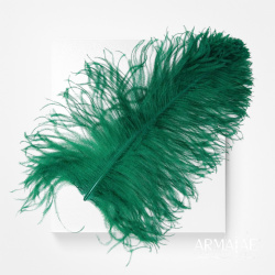 Straußenfeder ausgesuchte Qualität – ca. 40–50 cm, verschiedene Farben - Grün