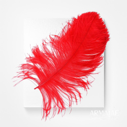 Straußenfeder ausgesuchte Qualität – ca. 40–50 cm, verschiedene Farben - Rot