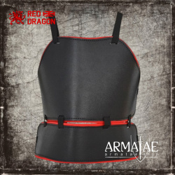 RED DRAGON HEMA Brust- & Torsoschutz – gepolstert 4